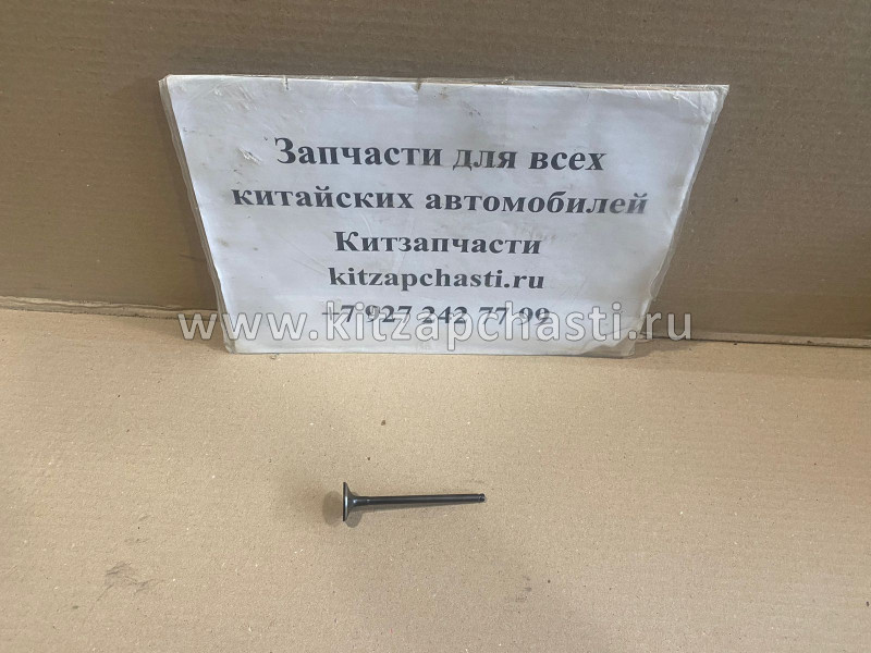 Клапан выпускной FAW V5 13715-T2A10